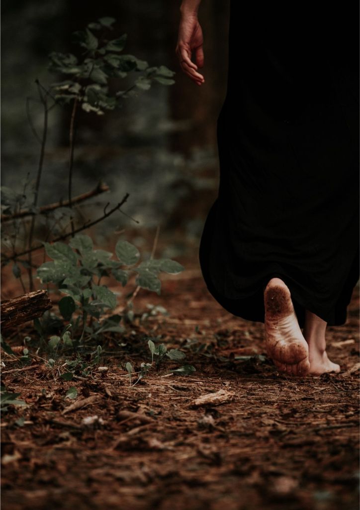 wp-17664935583185129499744521184015